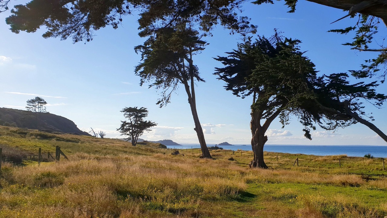 Photo of Outdoor in Erquy