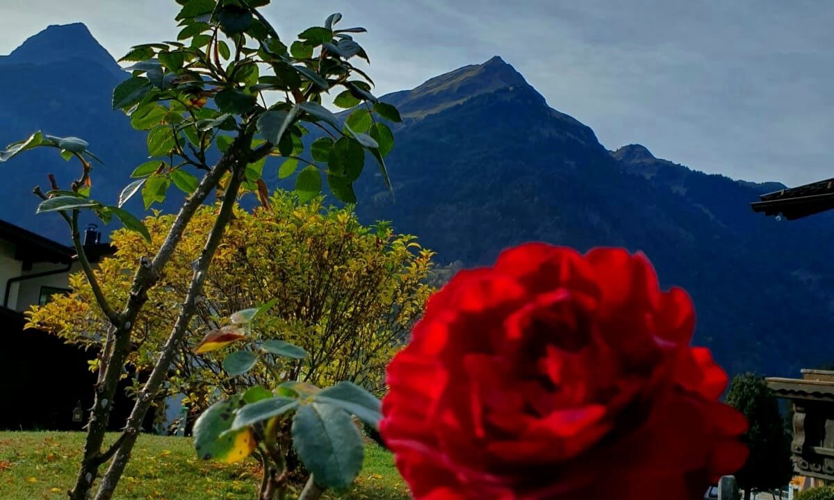 Photo of Outdoor in Sankt Gallenkirch