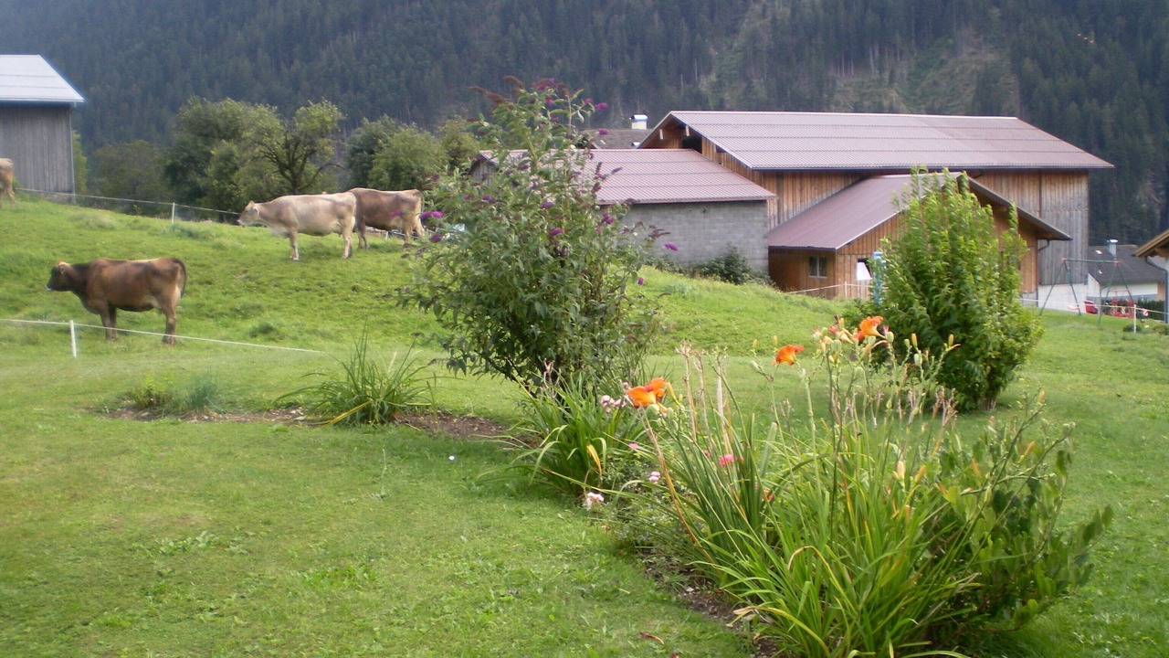 Photo of Outdoor in Sankt Gallenkirch