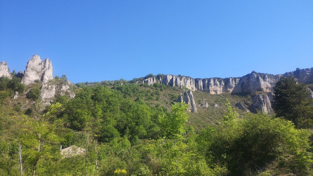 Photo of Others in Tournemire