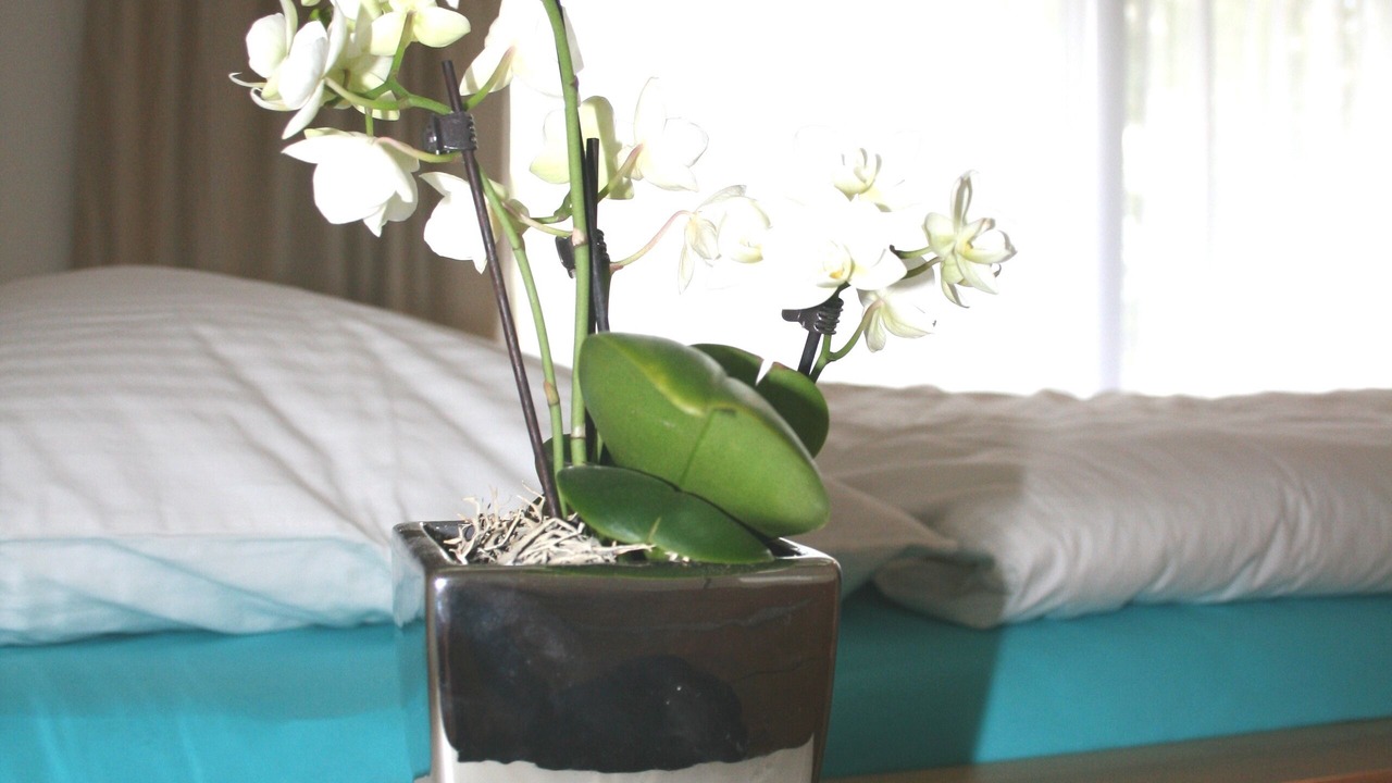 Photo of Bedroom in Langensteinbach