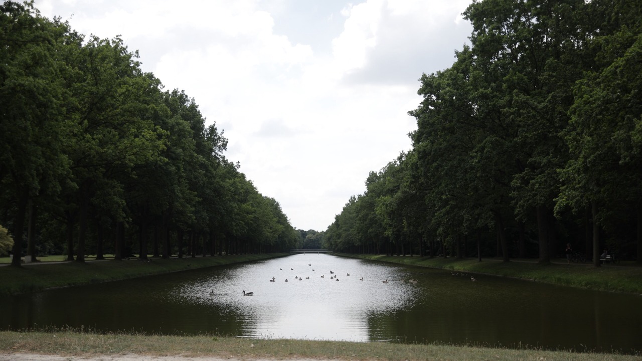 Photo of Others in Sandershausen