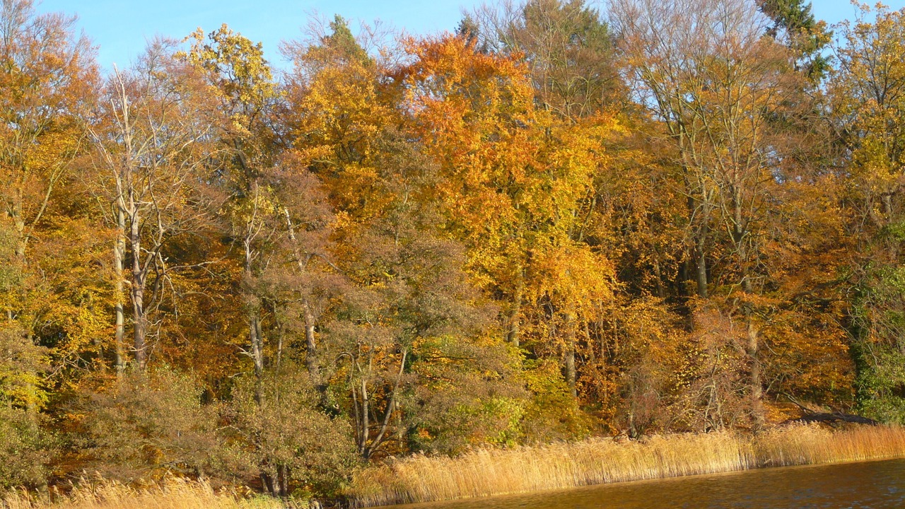 Photo of Outdoor in Oberhavel