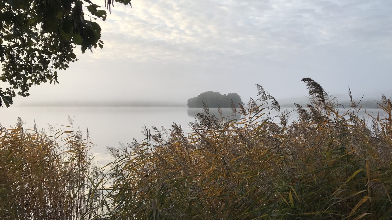 Photo of Others in Oberhavel