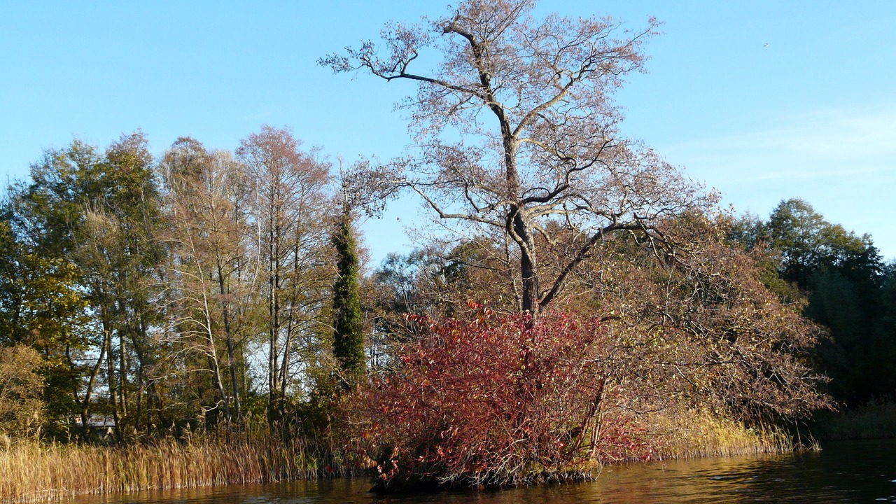 Photo of Outdoor in Oberhavel