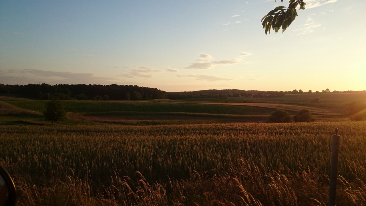 Photo of Others in Rutenberg