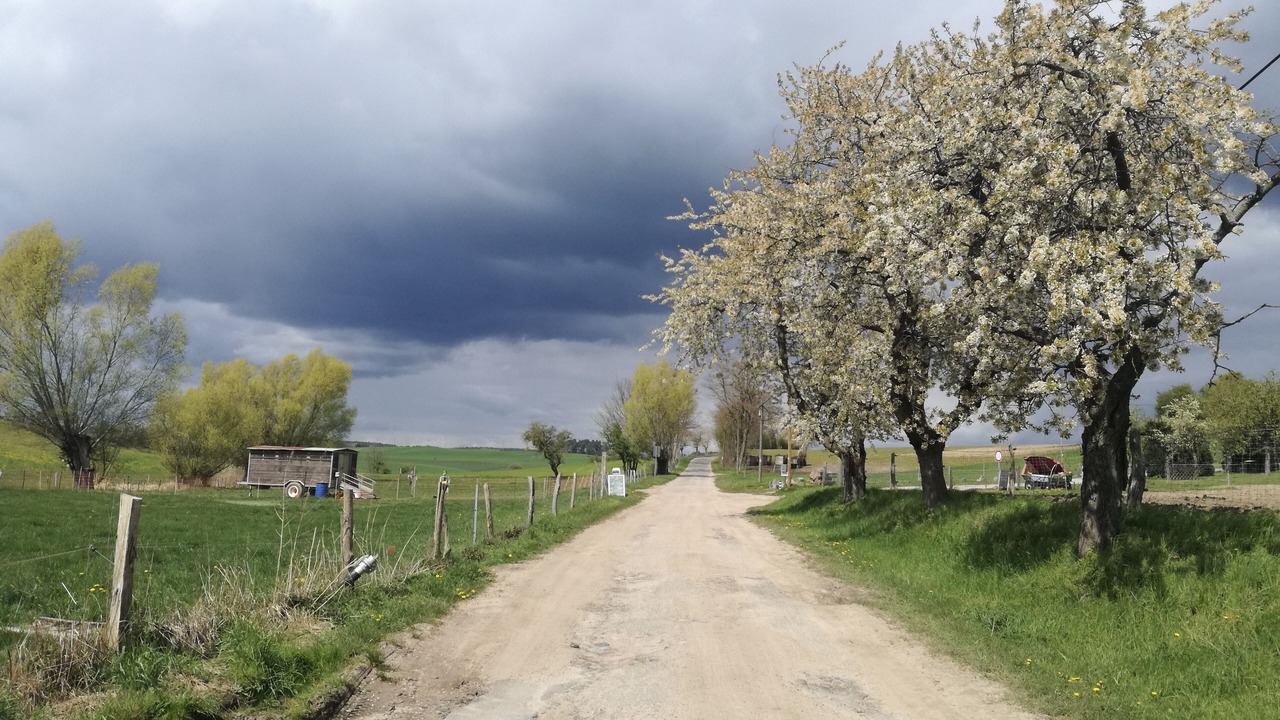 Photo of Outdoor in Rutenberg