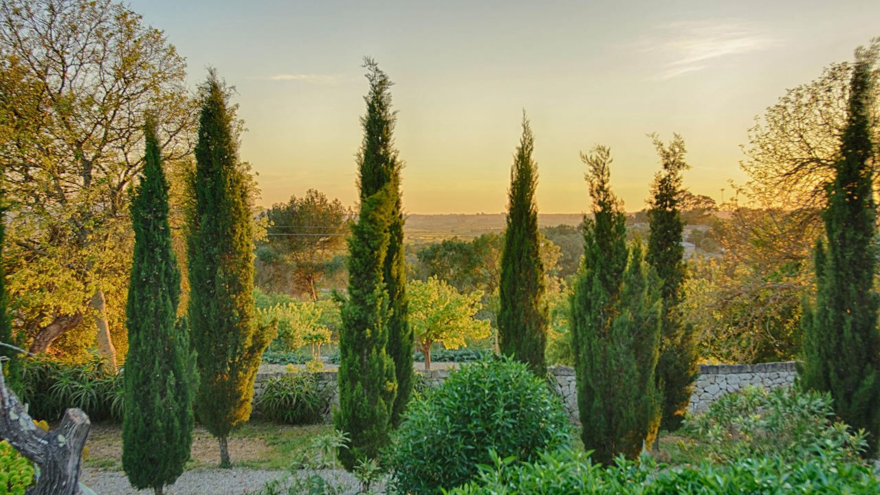 Photo of Outdoor in Montuiri