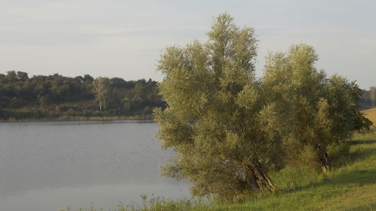 Photo of Outdoor in Bolkendorf