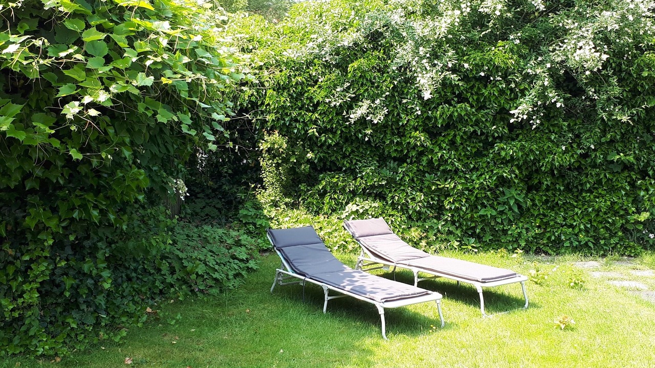 Photo of Outdoor in Ofenerdiek