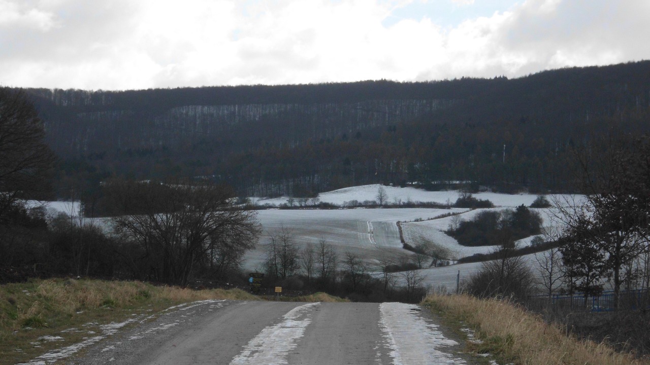 Photo of Others in Wanfried