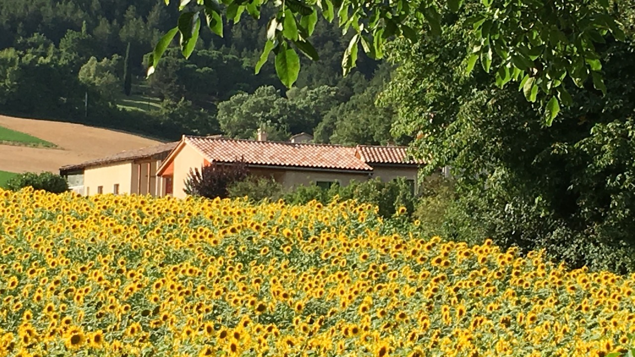 Photo of Outdoor in Die