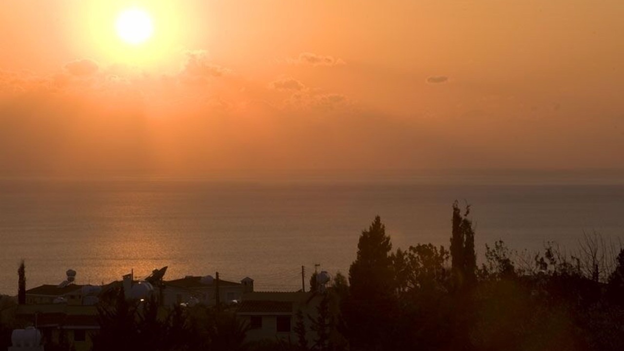 Photo of Others in Tala