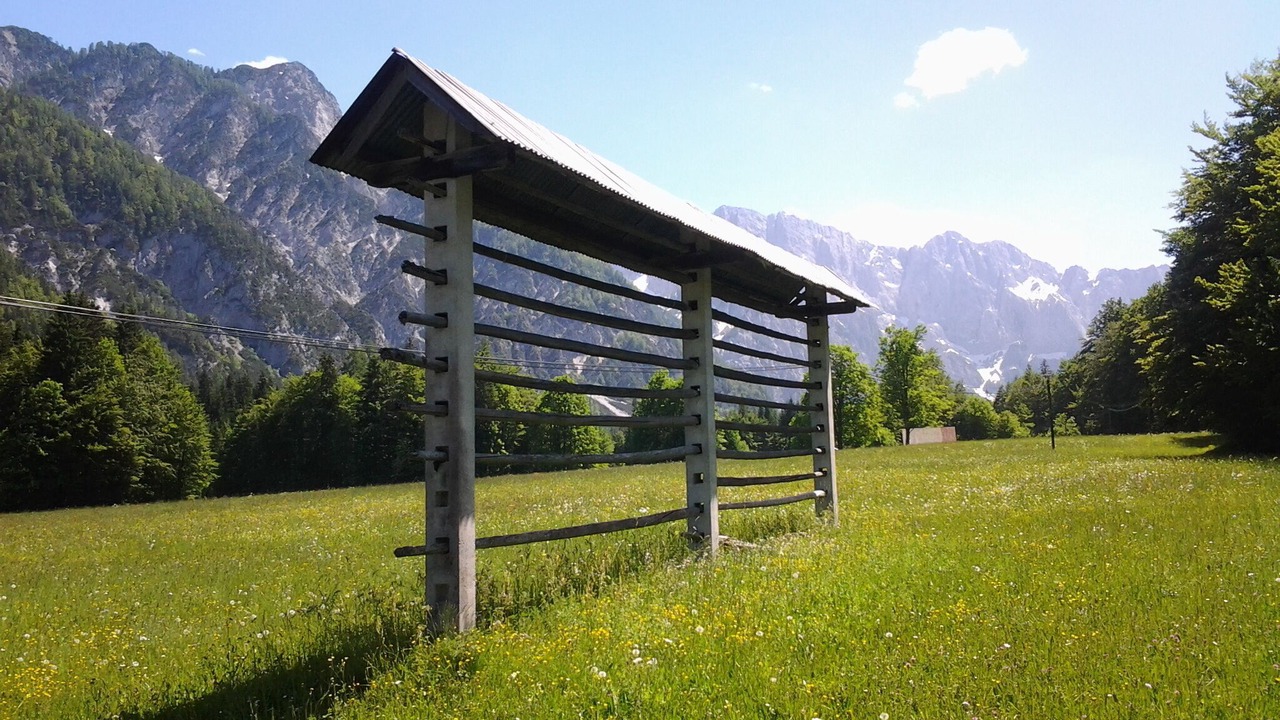 Photo of Outdoor in Zgornje Gorje