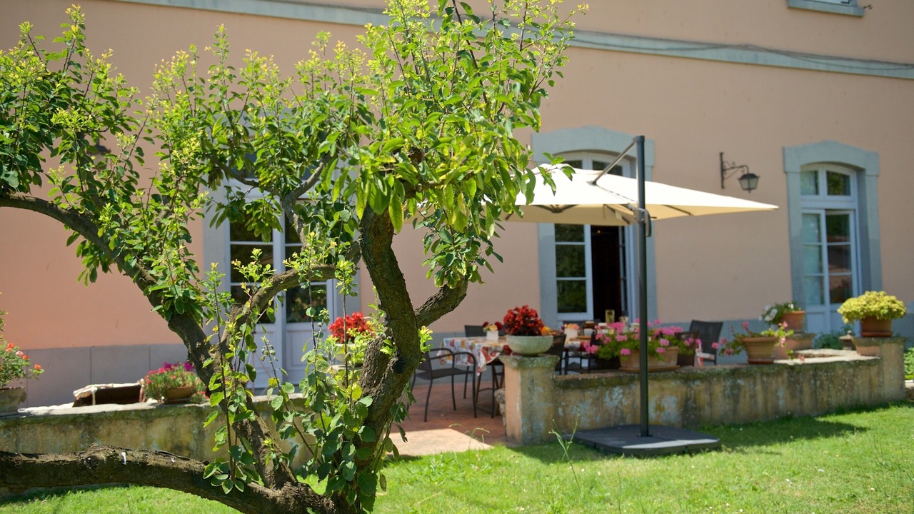 Photo of Outdoor in Colle di Compito