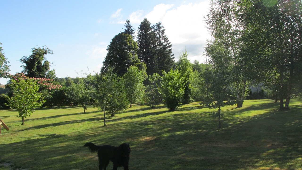 Photo of Outdoor in Montgibaud