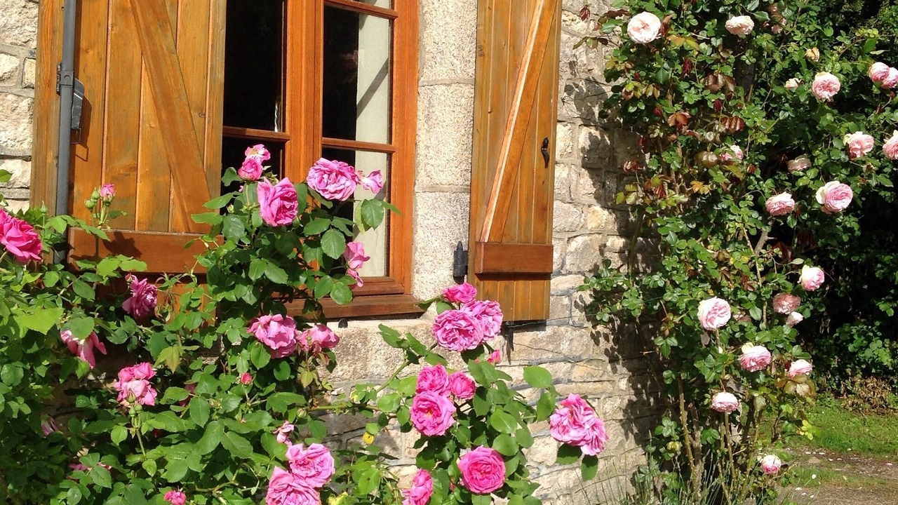 Photo of Bedroom in La Chapelle-pres-Sees