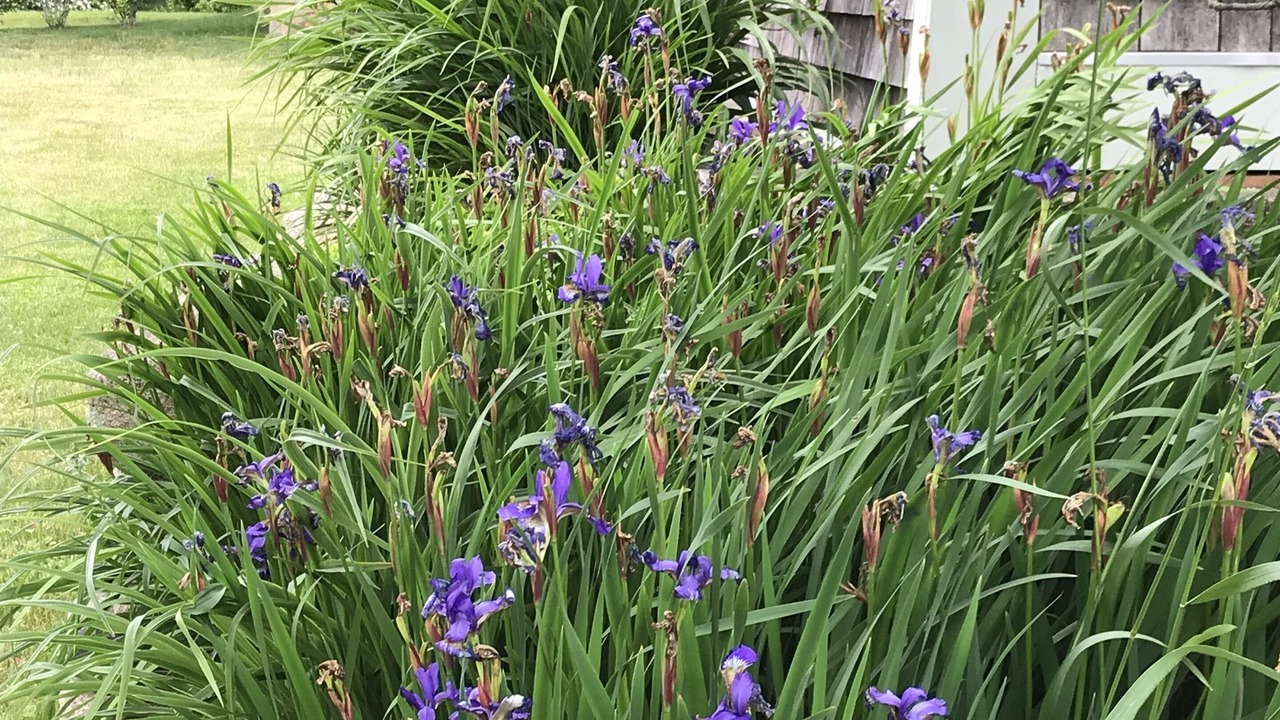 Photo of Outdoor in Block Island