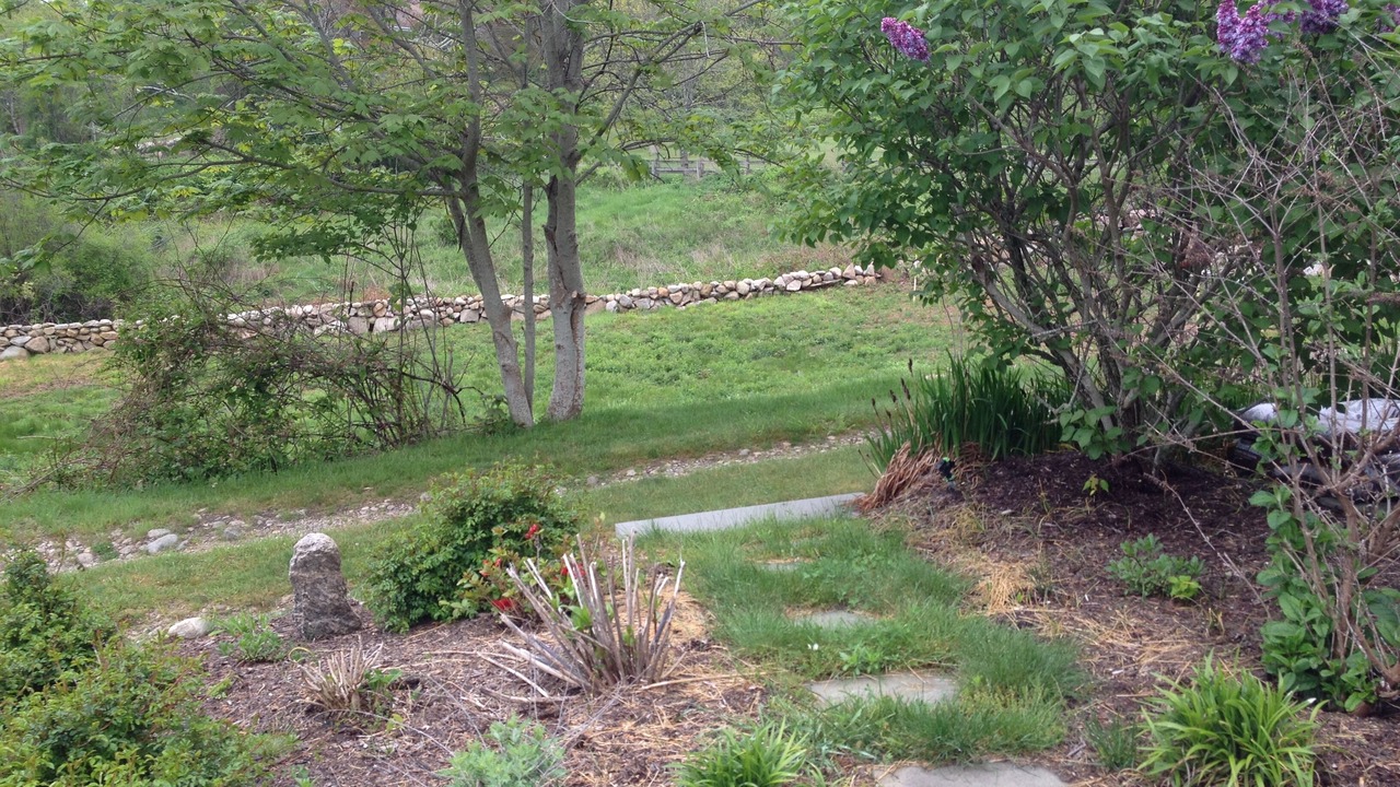 Photo of Others in Block Island