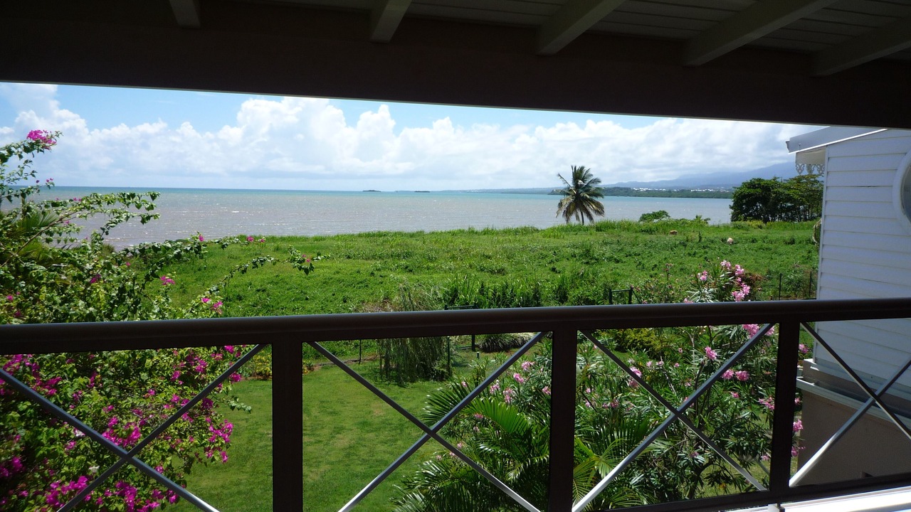 Photo of Outdoor in Baie-Mahault