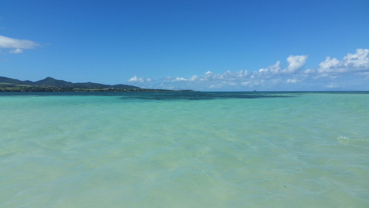 Photo of Others in Baie-Mahault
