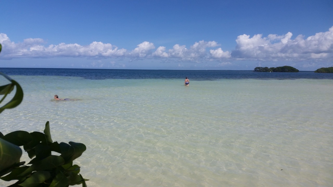 Photo of Others in Baie-Mahault