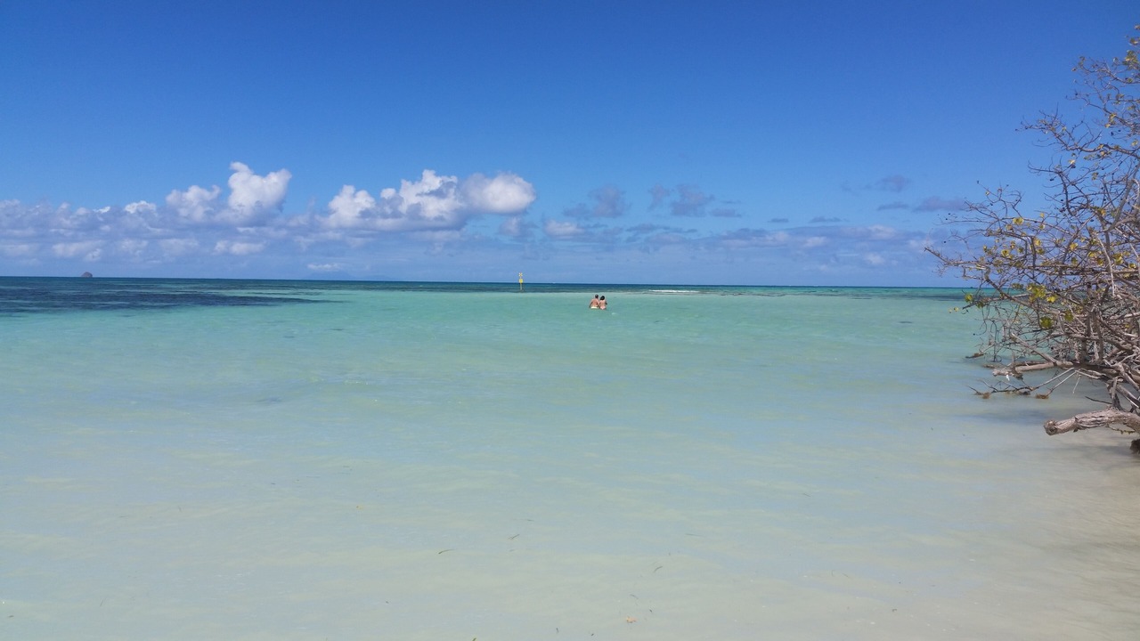 Photo of Others in Baie-Mahault