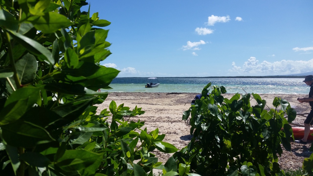 Photo of Others in Baie-Mahault
