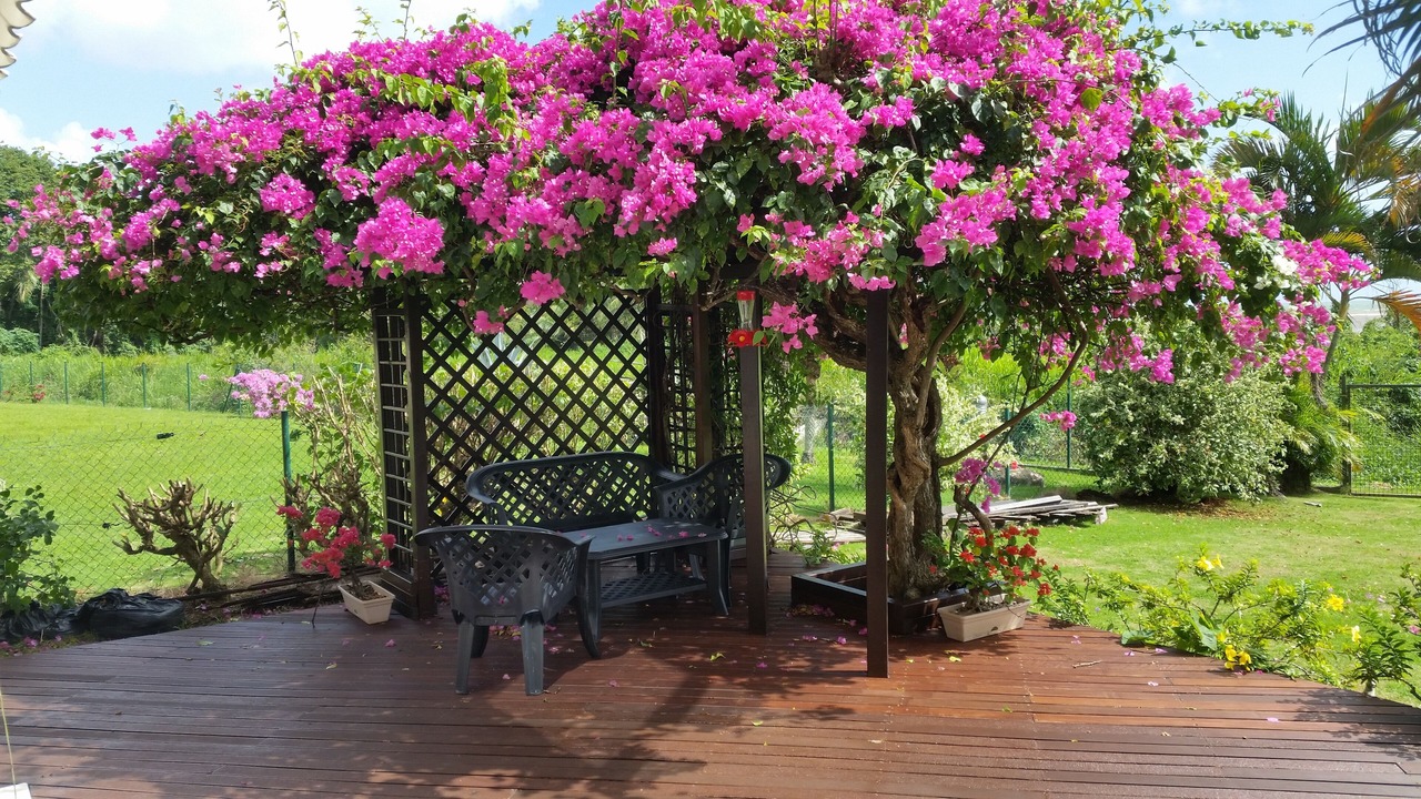 Photo of Patio Balcony in Baie-Mahault