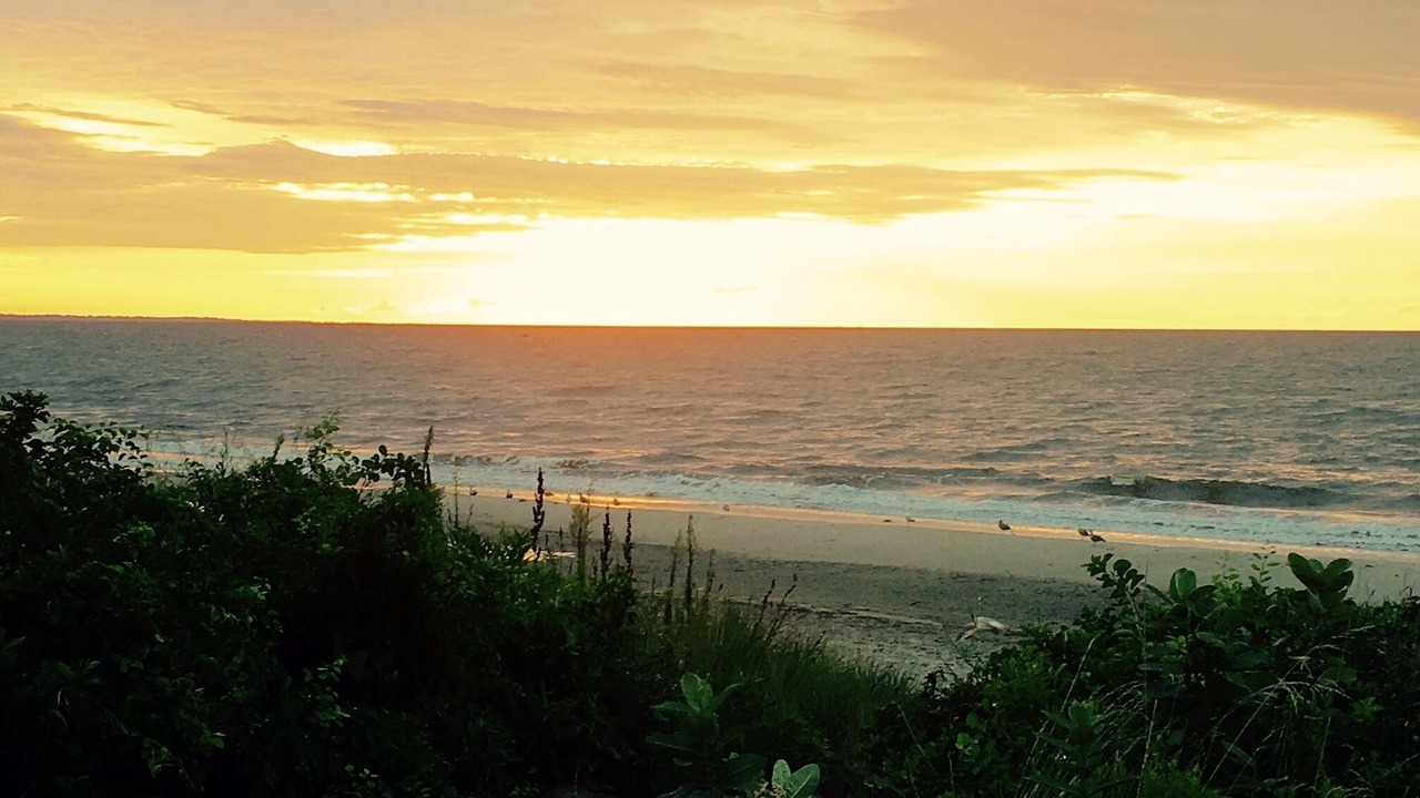 Photo of Others in Narragansett