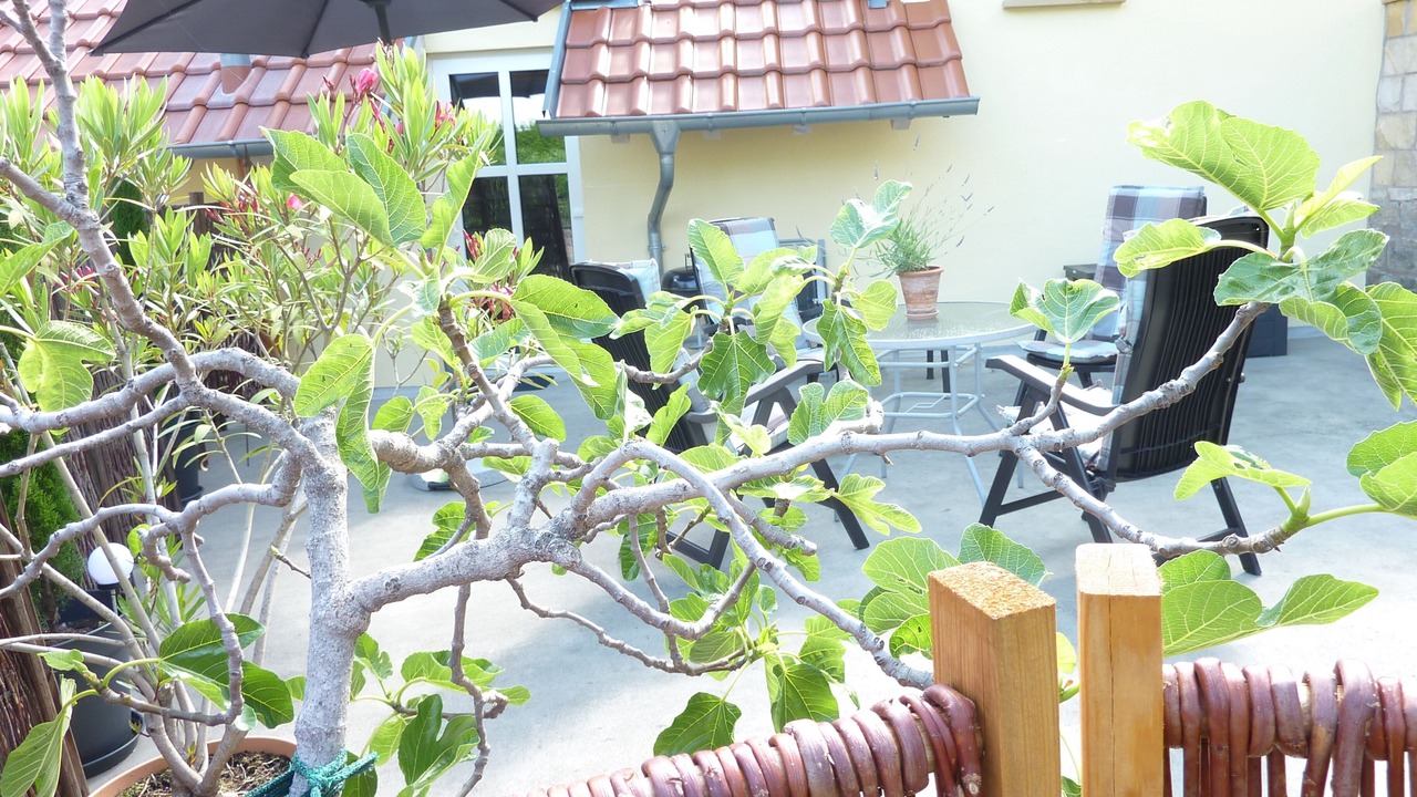 Photo of Outdoor in Neustadt an der Weinstrasse