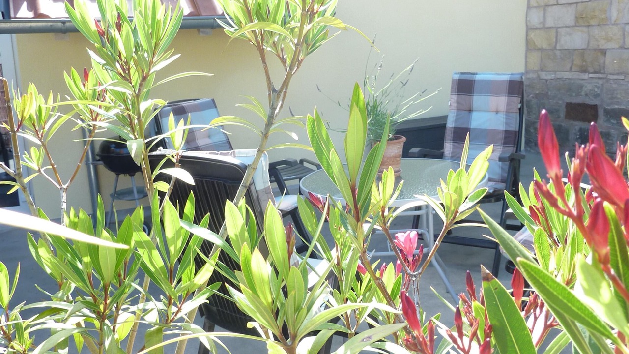 Photo of Patio Balcony in Neustadt an der Weinstrasse