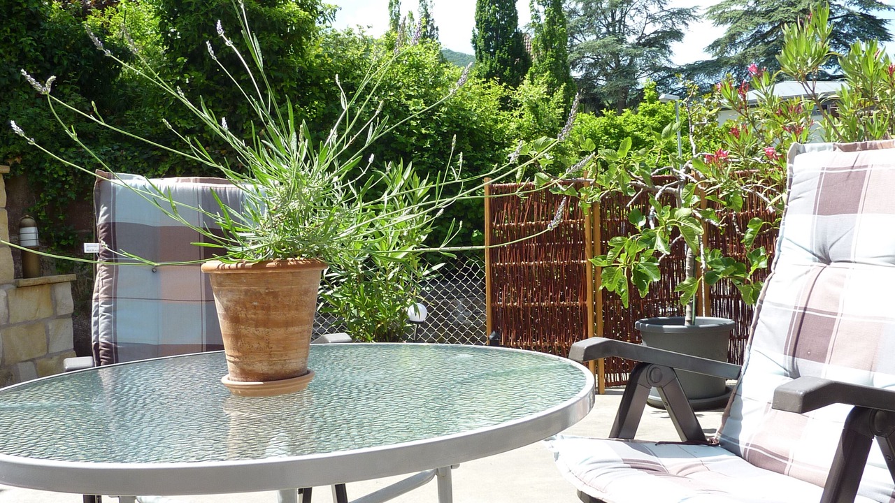 Photo of Outdoor in Neustadt an der Weinstrasse