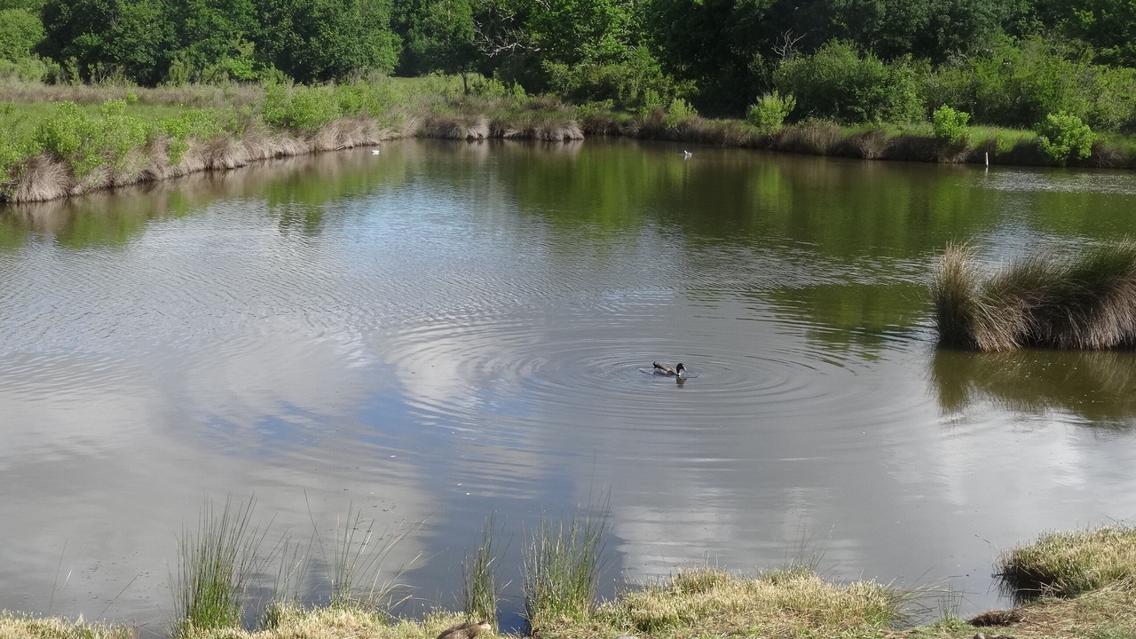 Photo of Outdoor in Audenge