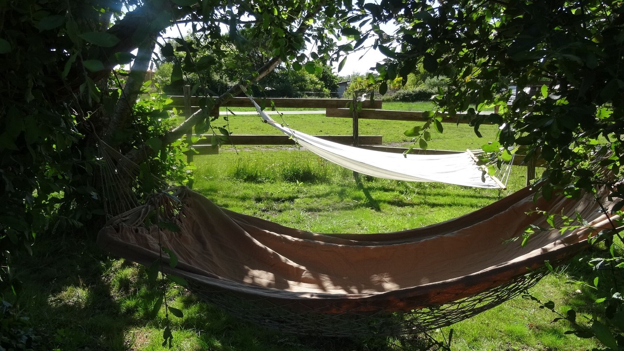 Photo of Outdoor in Audenge