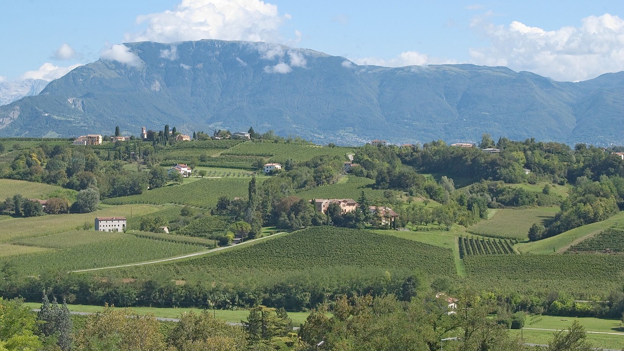 Photo of Outdoor in Conegliano
