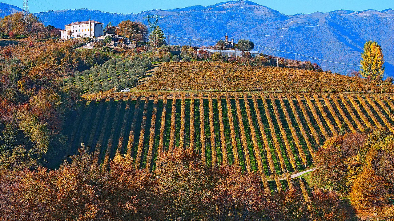 Photo of Outdoor in Conegliano