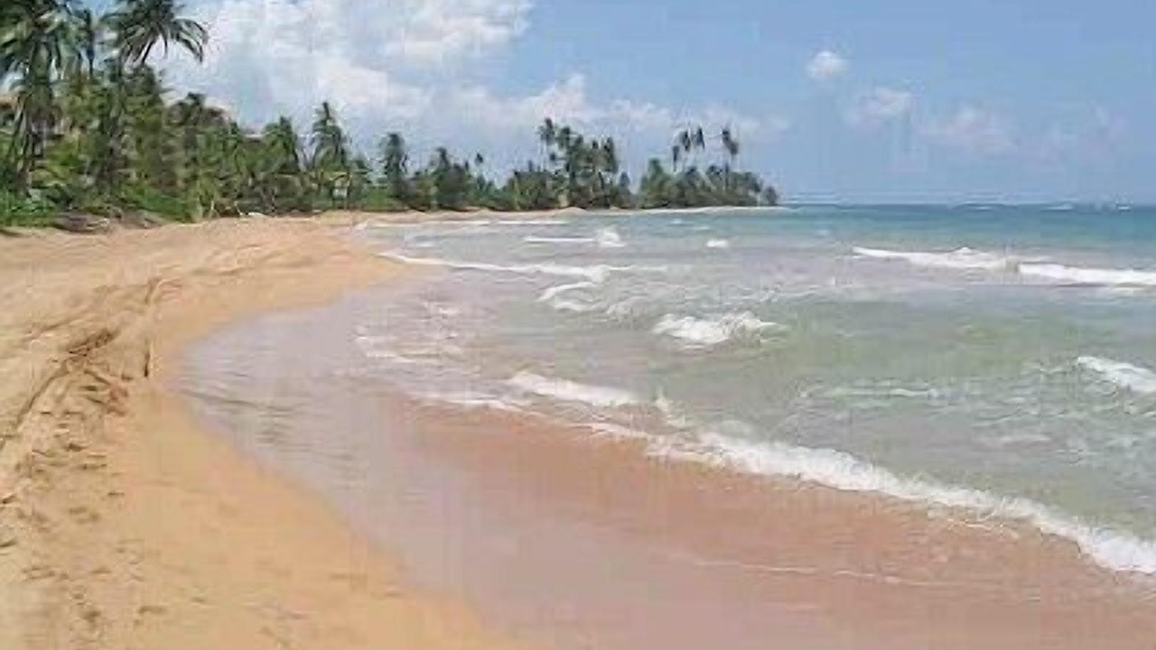 Photo of Others in Rio Abajo