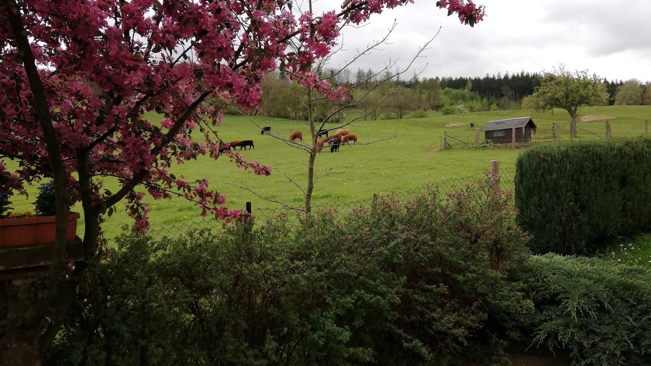 Photo of Outdoor in Emsetal