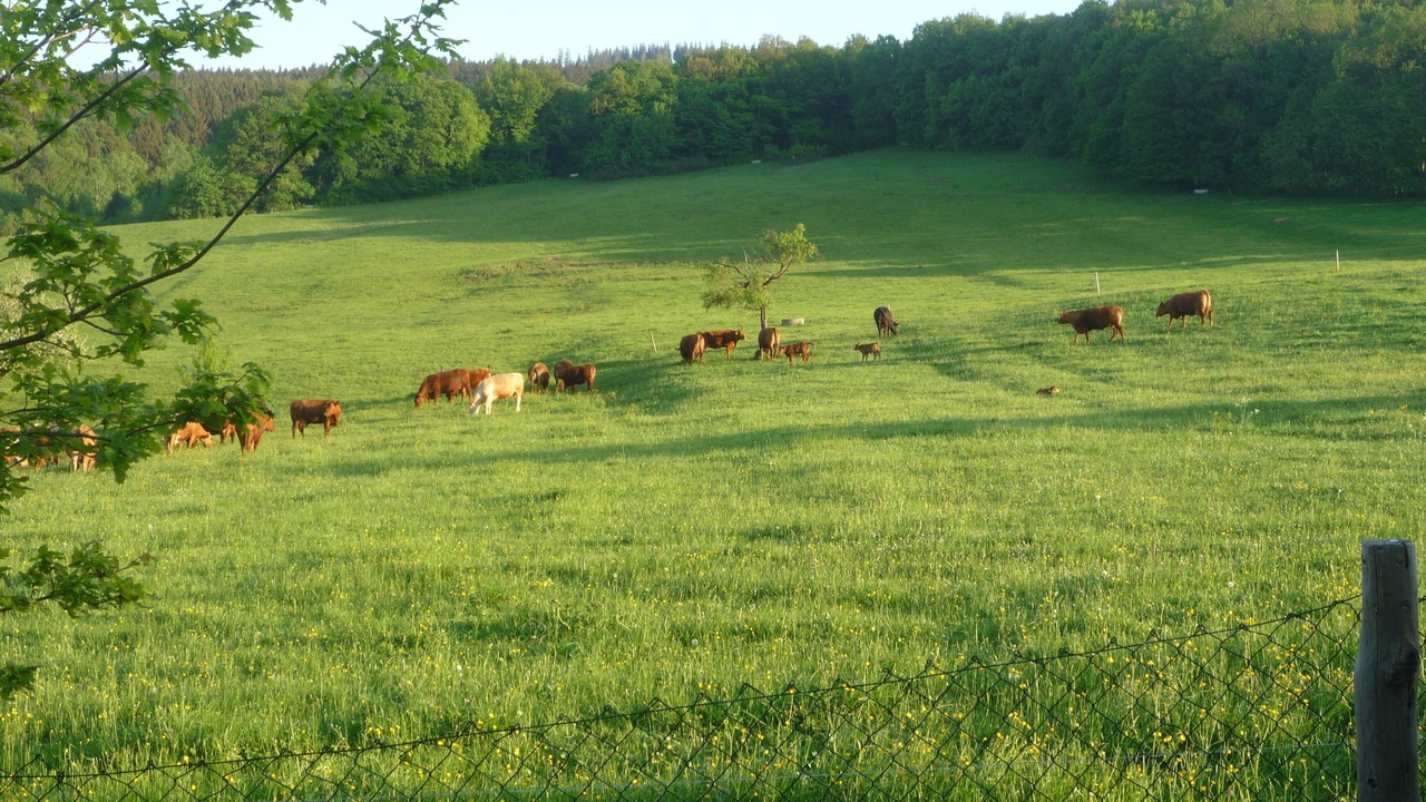 Photo of Others in Emsetal