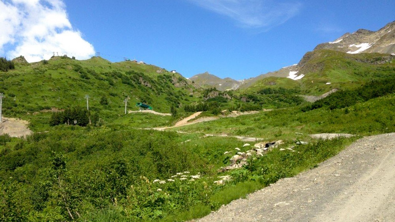 Photo of Outdoor in Alyeska