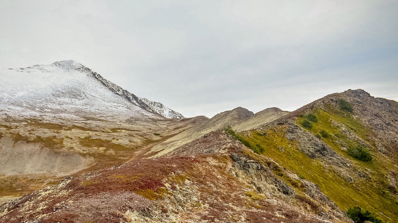 Photo of Others in Alyeska