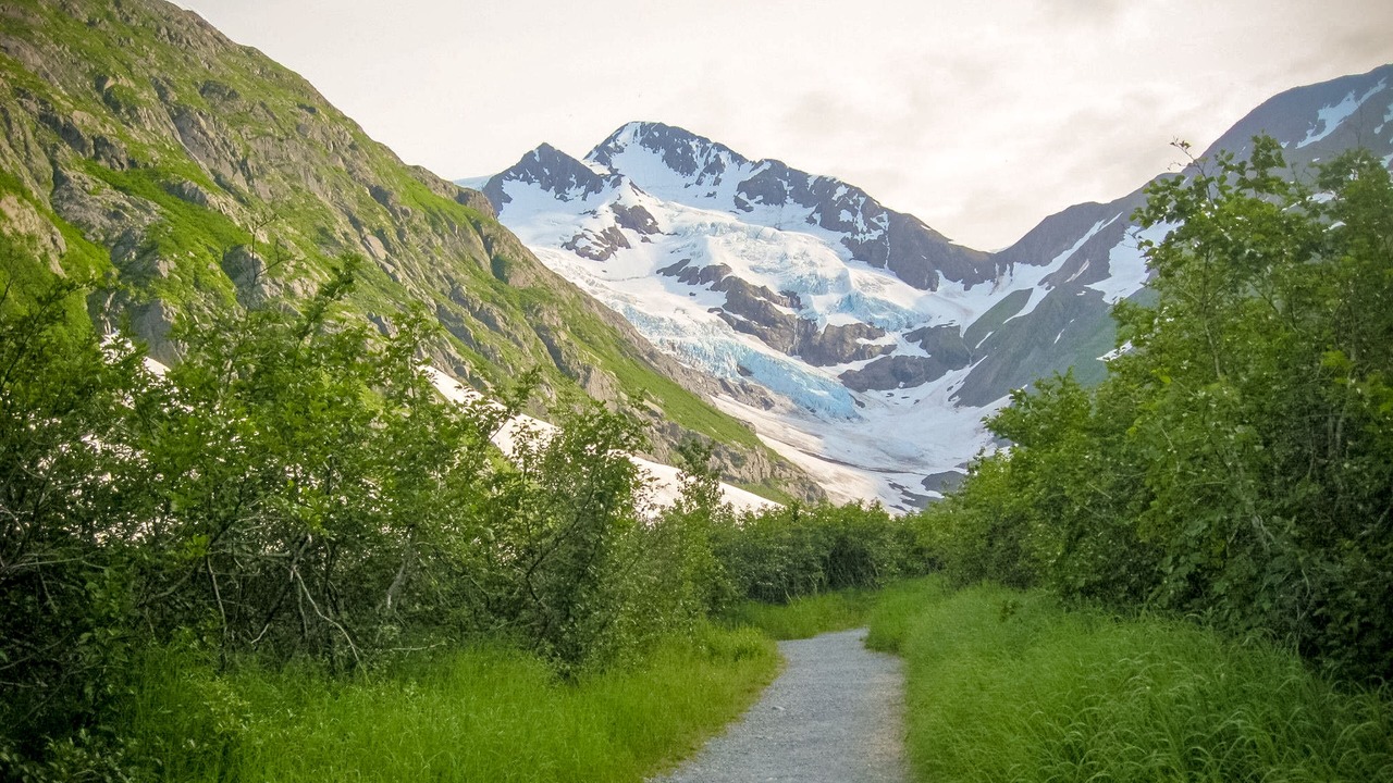 Photo of Outdoor in Alyeska