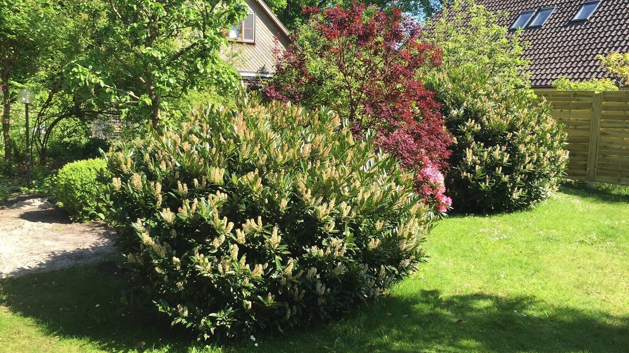 Photo of Outdoor in Wechloy