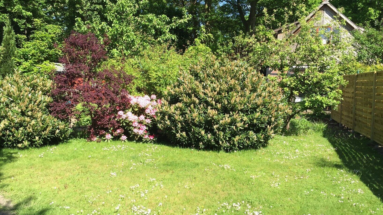 Photo of Outdoor in Wechloy