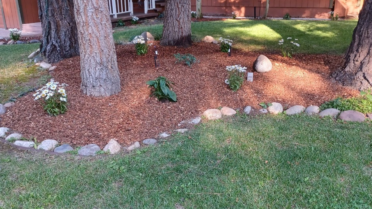 Photo of Outdoor in Lower Kingsbury