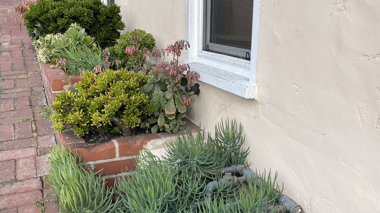Photo of Outdoor in El Porto