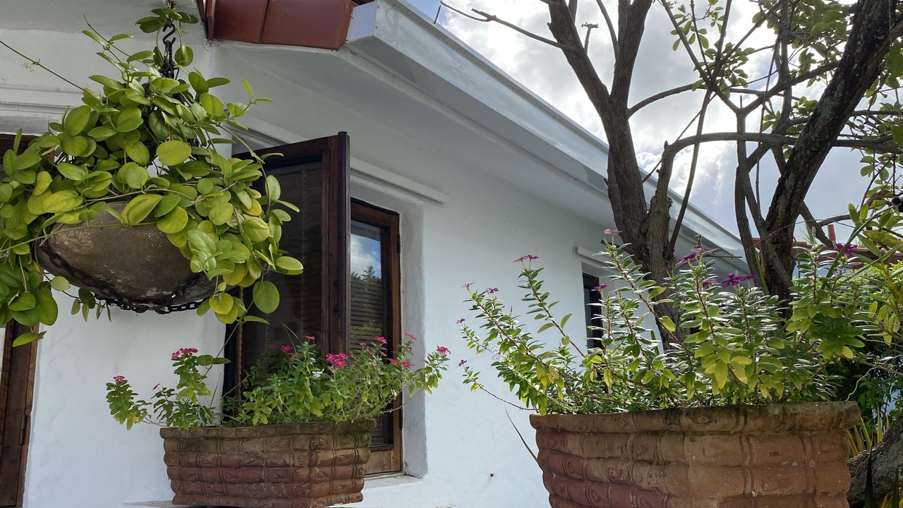 Photo of Outdoor in Mameyes II