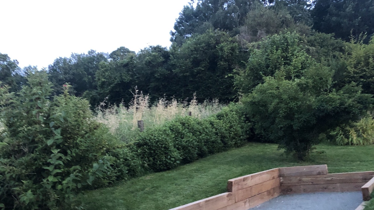 Photo of Outdoor in Le Gue-de-la-Chaine