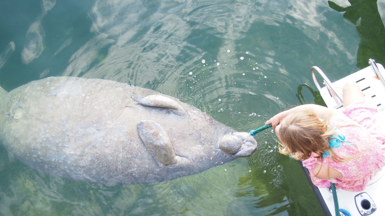 Photo of Others in Great Harbour Cay